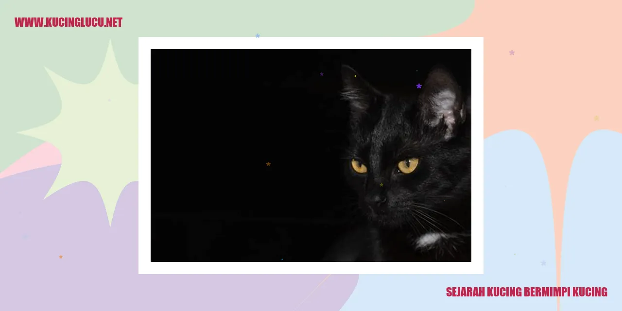 gambar kucing