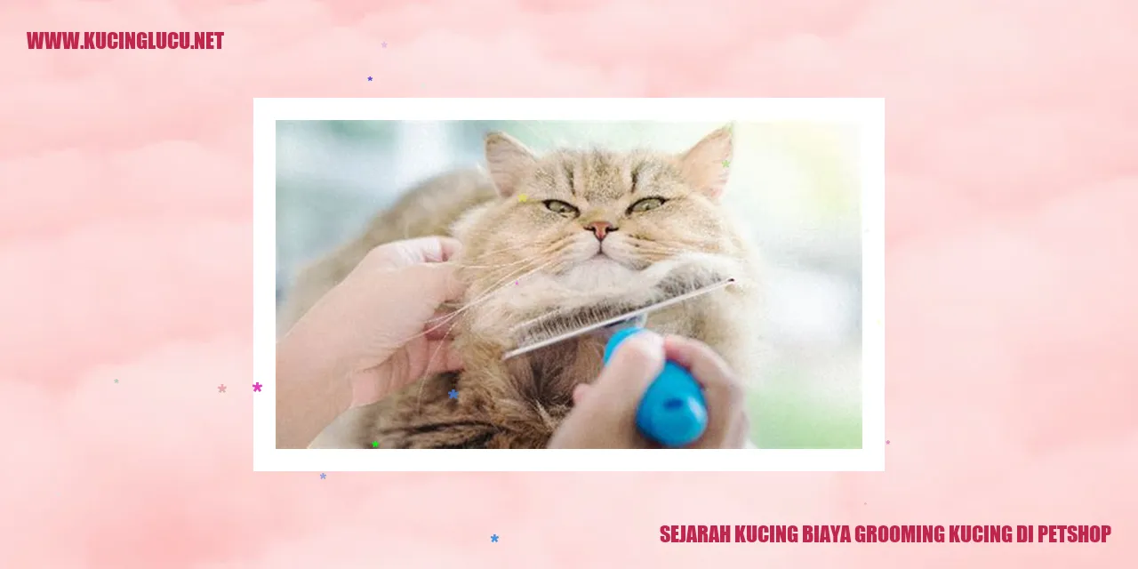 gambar kucing