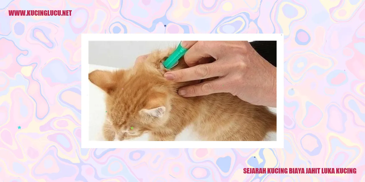 Gambar Kucing