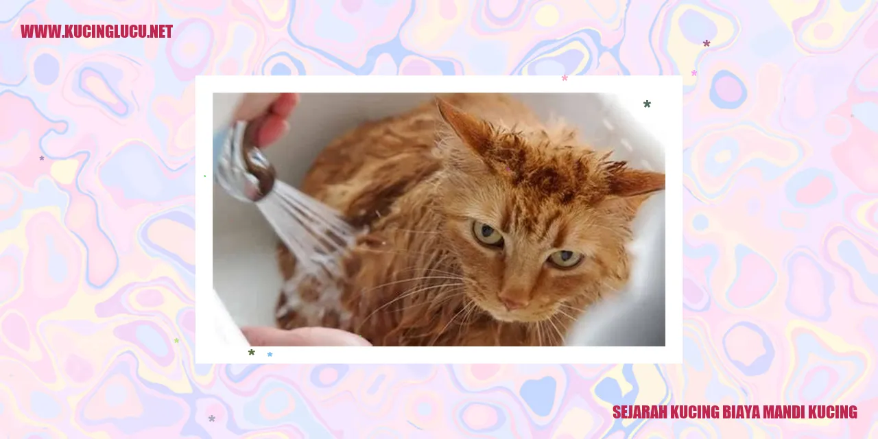 Gambar Sejarah Kucing dan Biaya Mandi Kucing