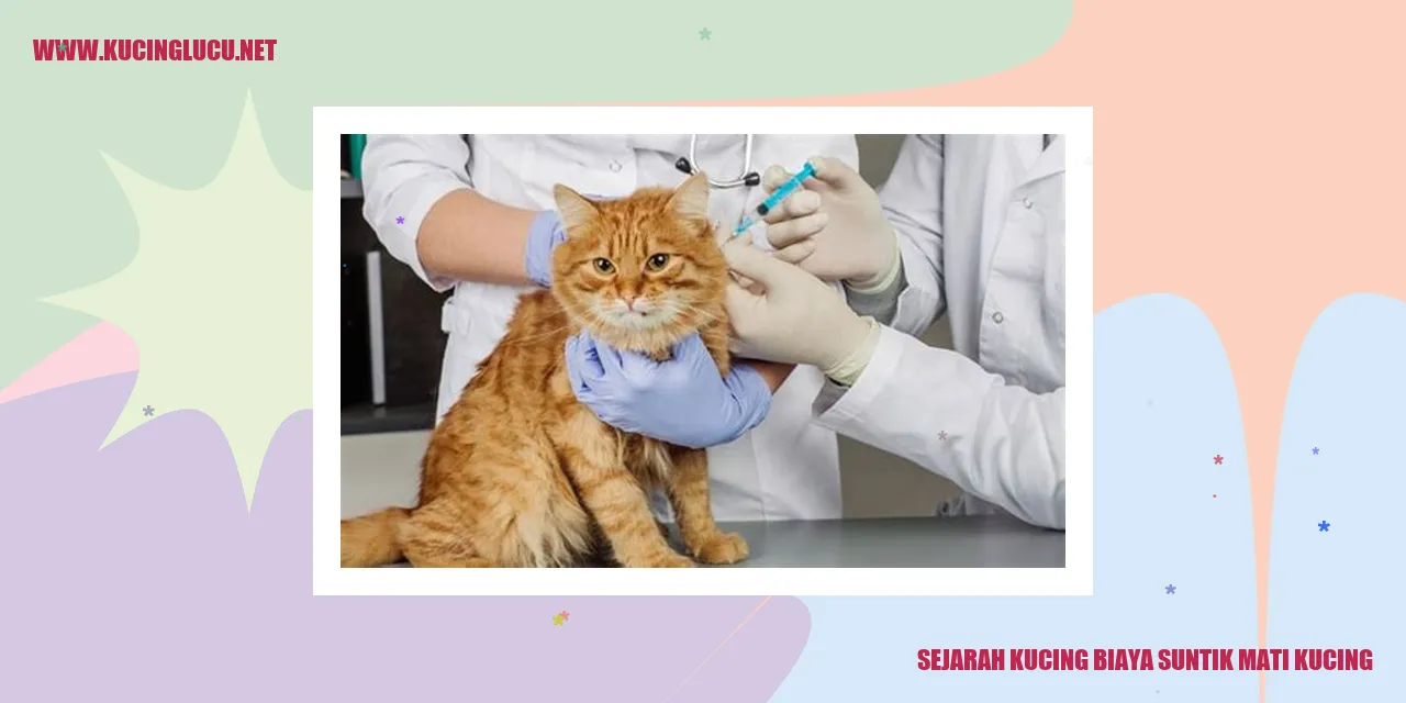 Ilustrasi Kucing