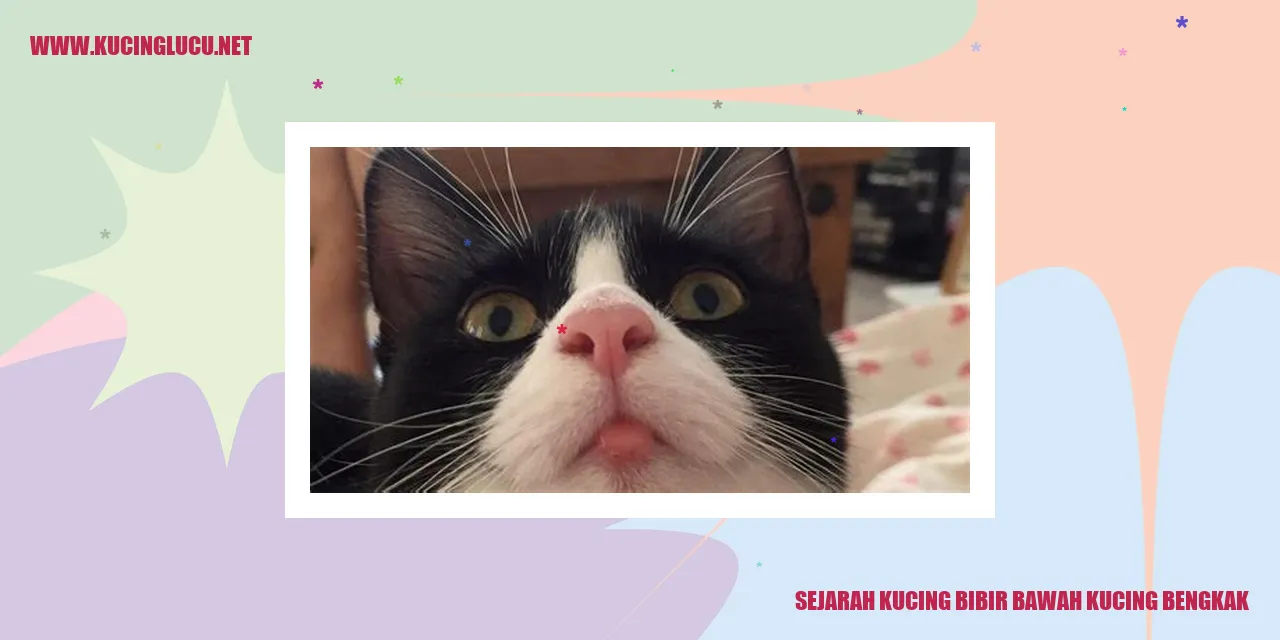 Kucing dengan Bibir Tertekuk
