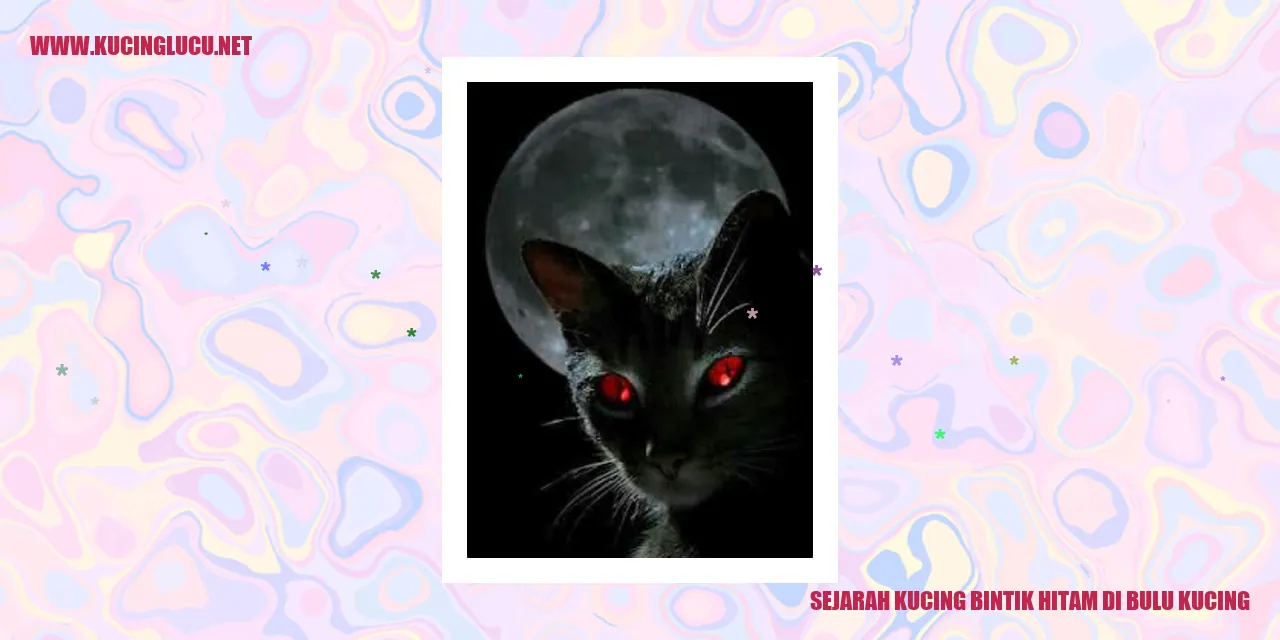 Kucing bintik hitam