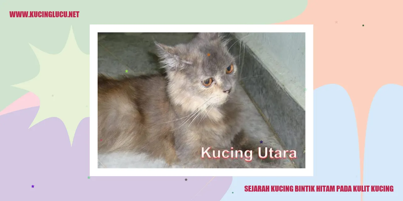 Ilustrasi kucing corak bintik hitam