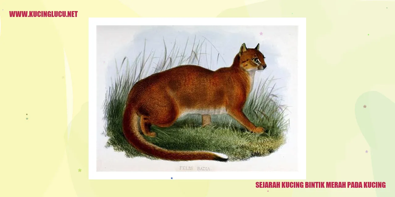 Gambar Kucing Bintik Merah