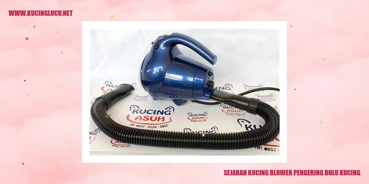 Sejarah Kucing Blower Pengering Bulu Kucing