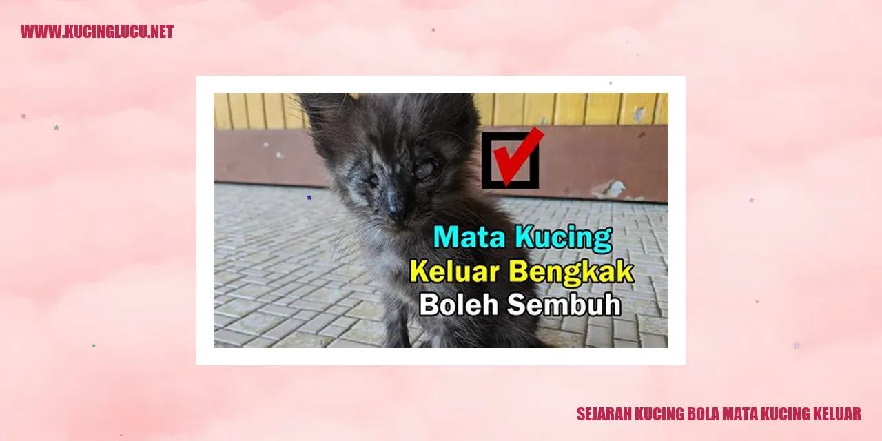 Ilustrasi Kucing