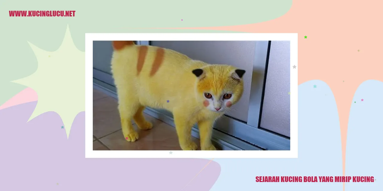 Gambar kucing bola yang mirip kucing