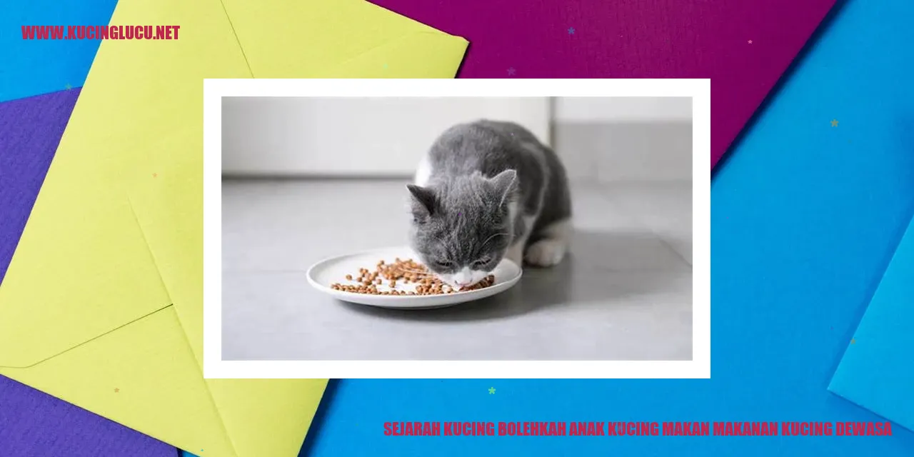 gambar kucing