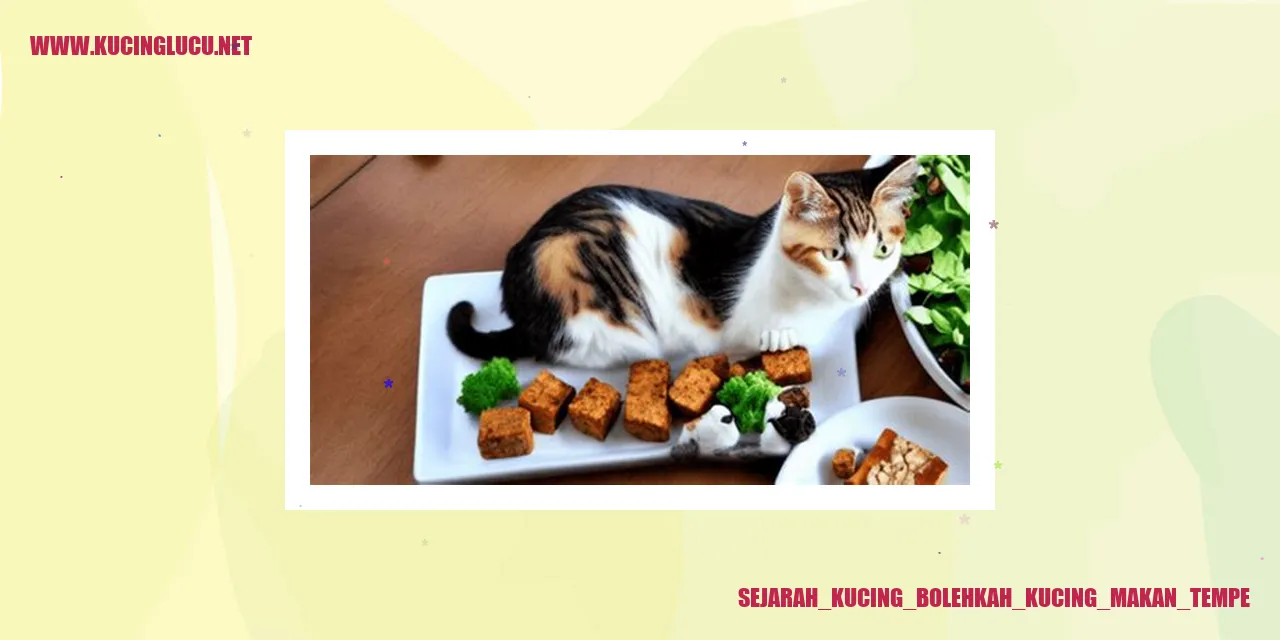 Gambar Kucing Makan Tempe