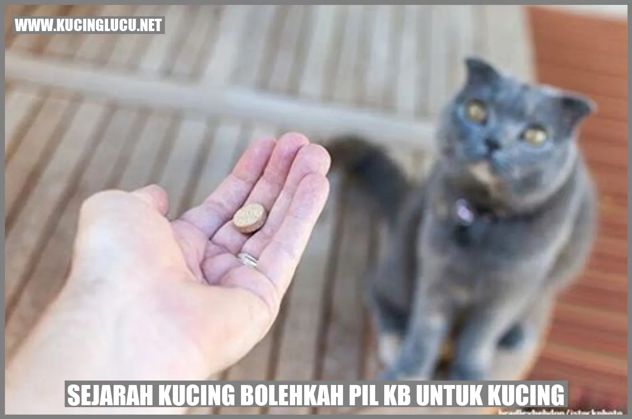 Sejarah Kucing