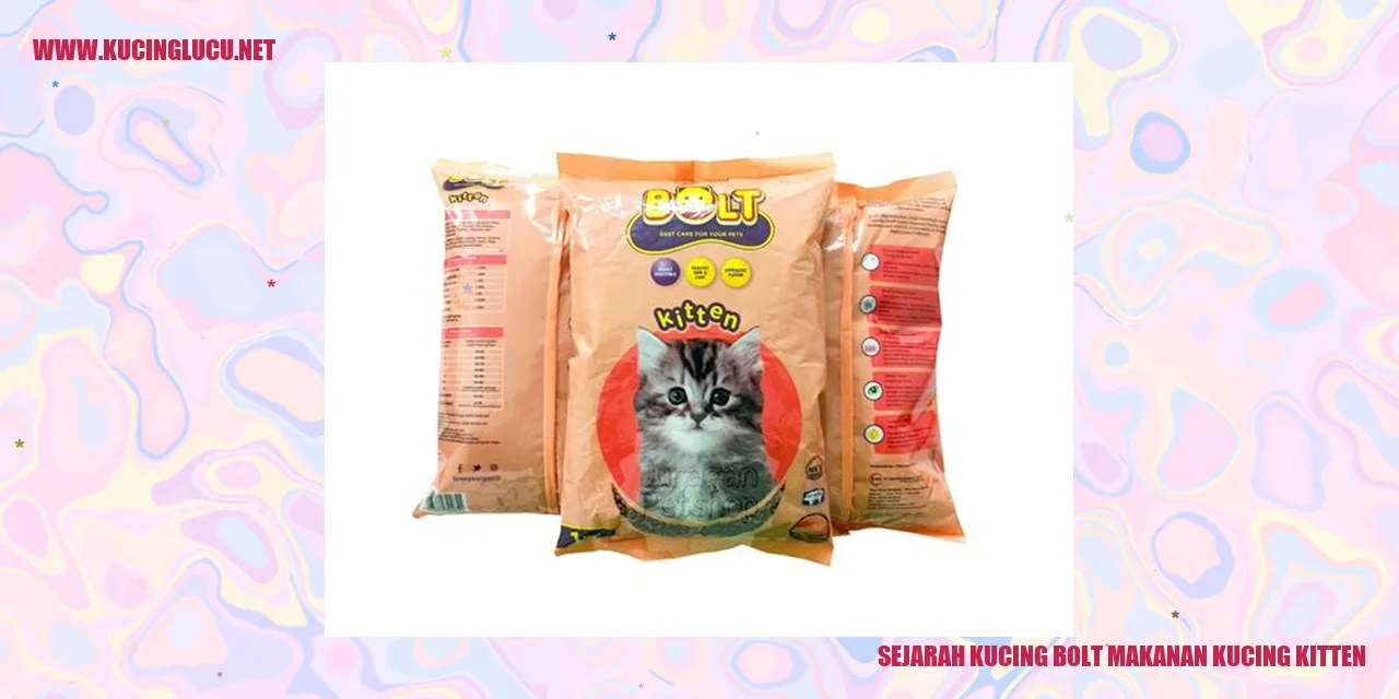 Sejarah Kucing Bolt dan Makanan Kucing Kitten