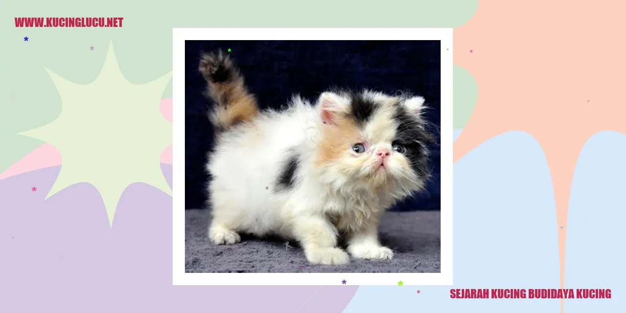 Gambar Kucing
