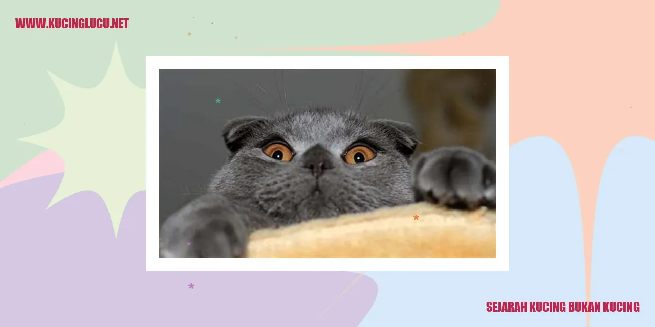 Sejarah Kucing bukan kucing
