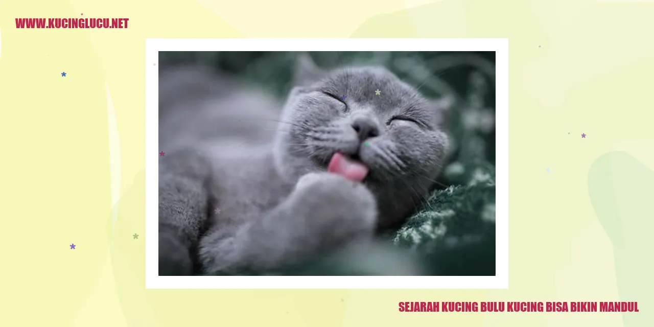 kucing bulu