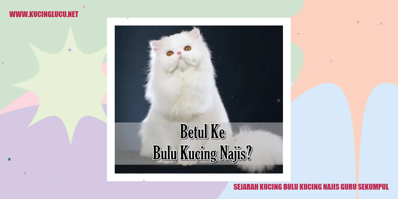 Gambar Kucing Bulu Kucing Najis Guru Sekumpul