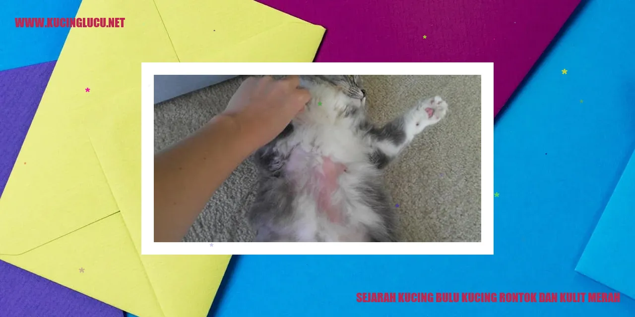 Sejarah Kucing Bulu Kucing Rontok dan Kulit Merah