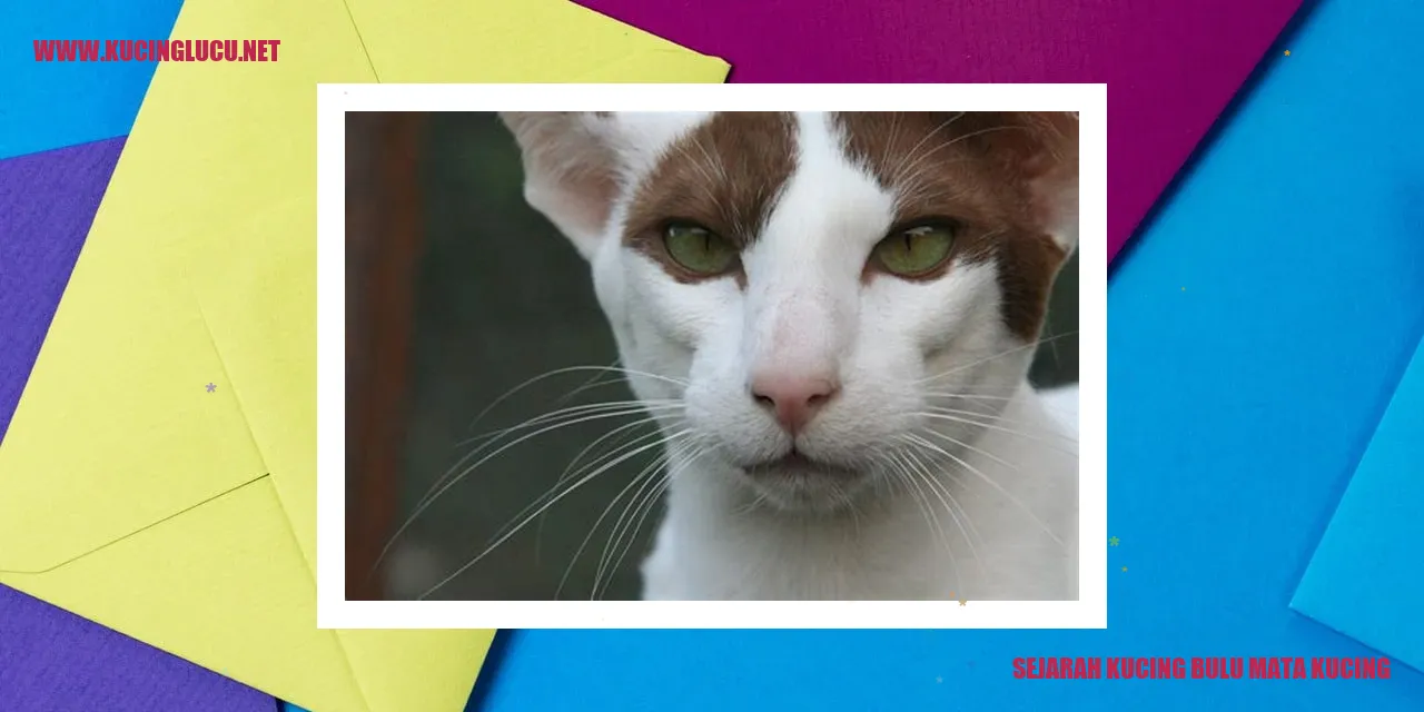 Kucing dengan Bulu Mata Menawan