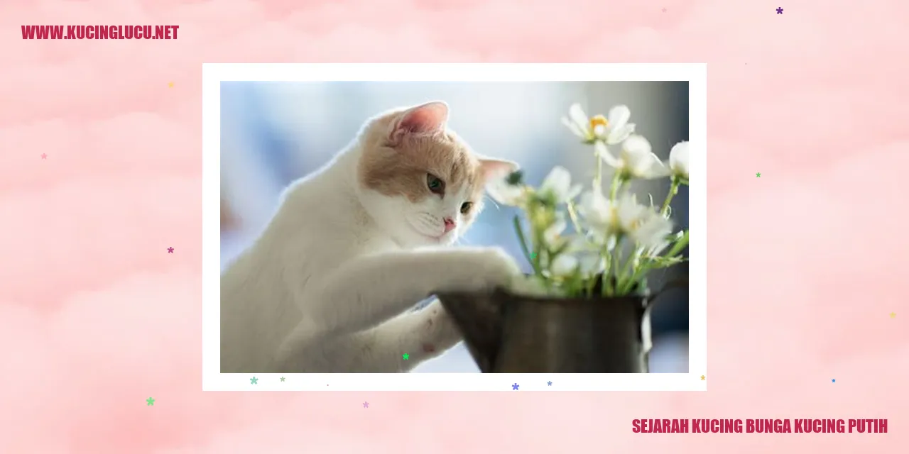 Kucing Bunga Kucing Putih