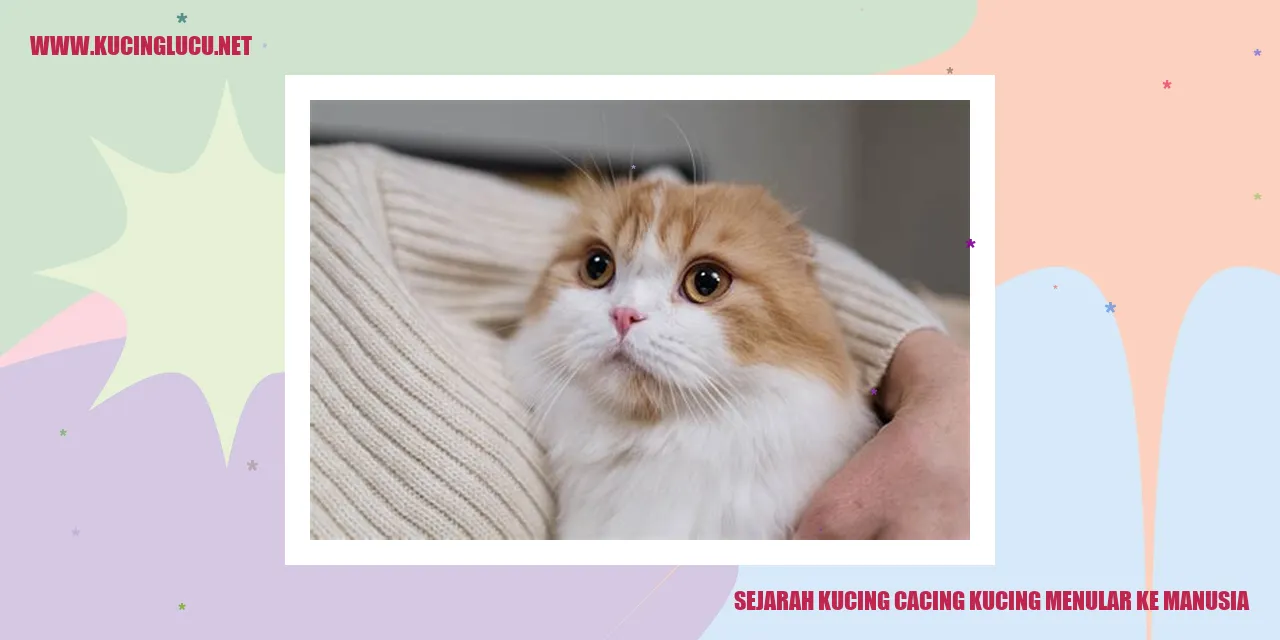 Illustrasi Sejarah Kucing Cacing Kucing Menular ke Manusia