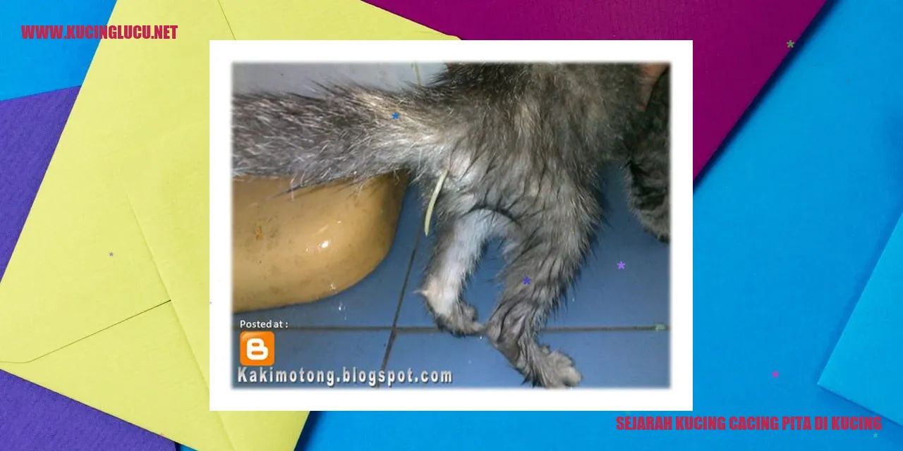 Sejarah Kucing Cacing Pita di Kucing