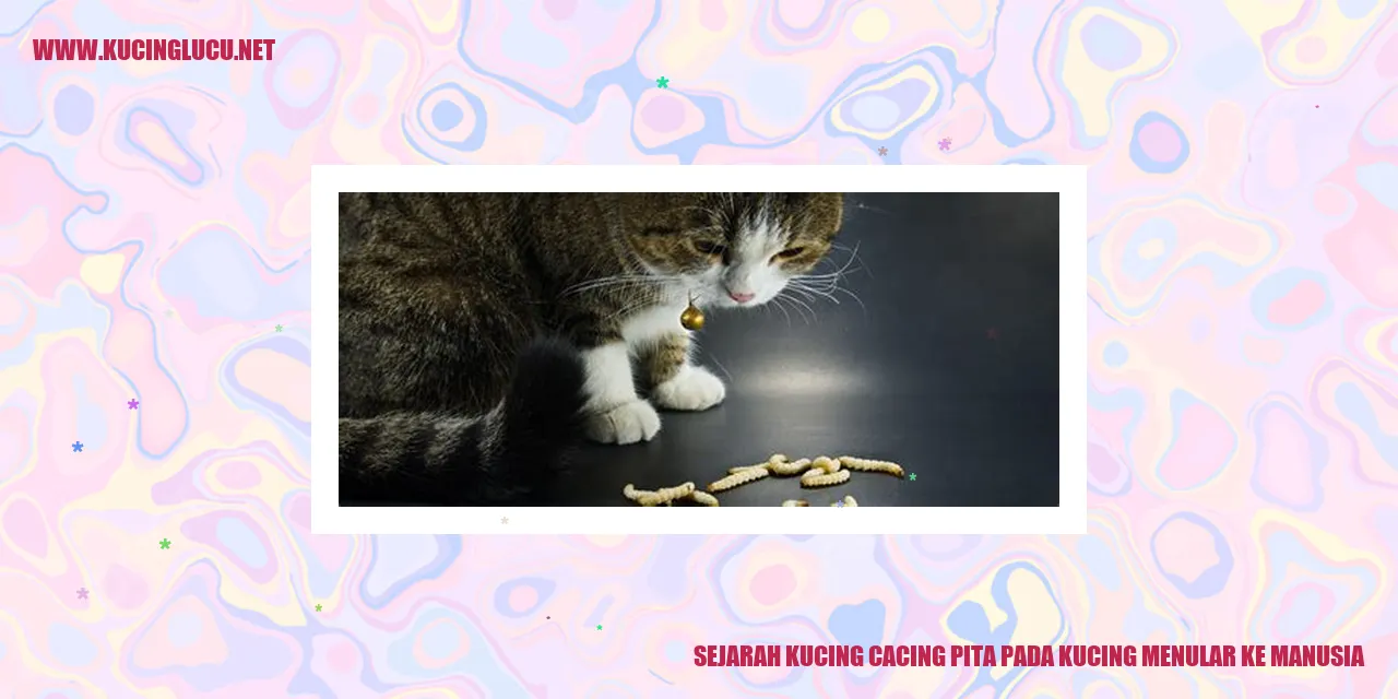 Sejarah Kucing Cacing Pita pada Kucing Menular ke Manusia