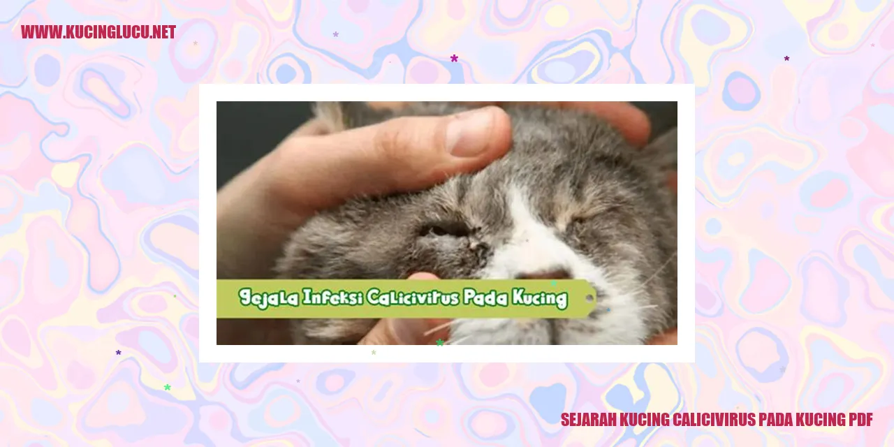 Gambar Kucing Calicivirus