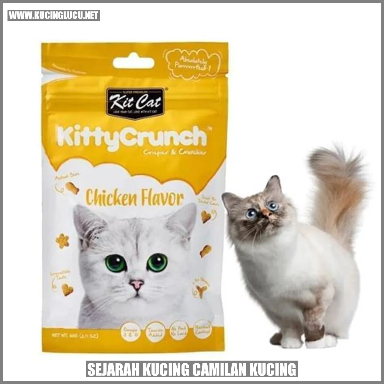 Sejarah Kucing Camilan Kucing