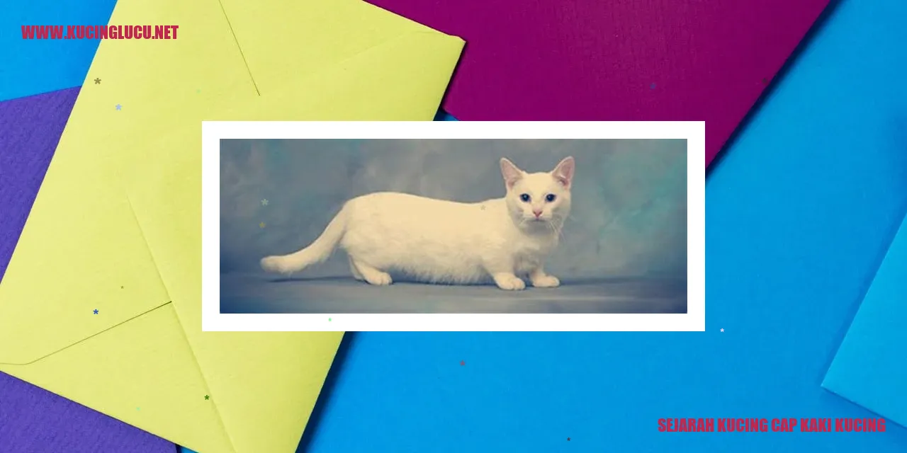 Gambar Kucing Cap Kaki Kucing