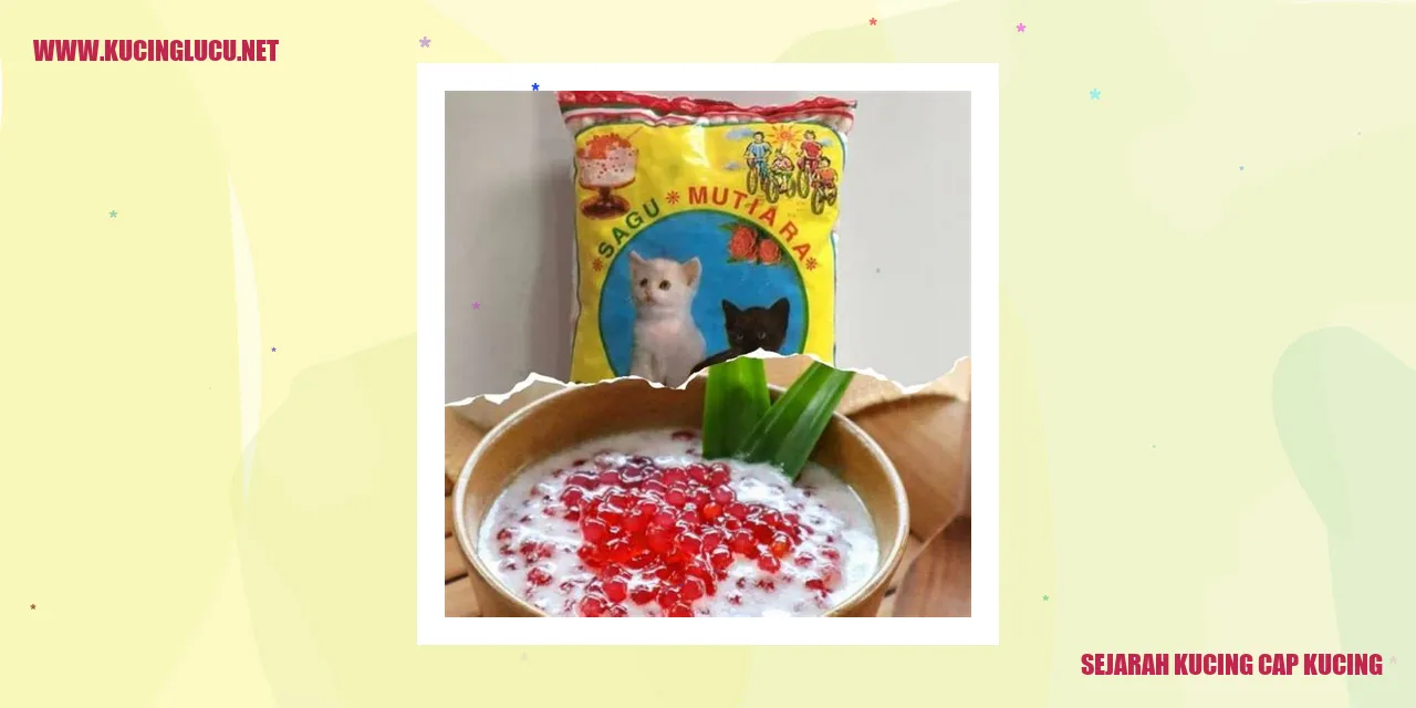 Gambar Kucing Cap Kucing