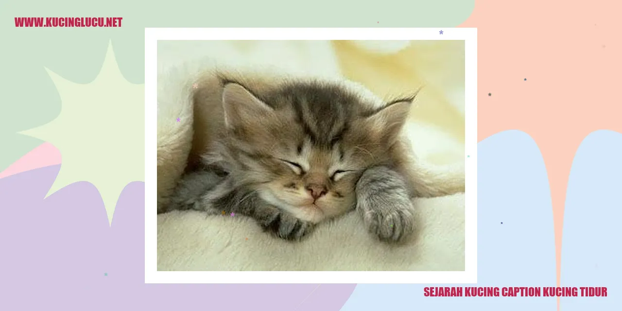 Peristiwa Imaginer Kucing Saat Berbaring