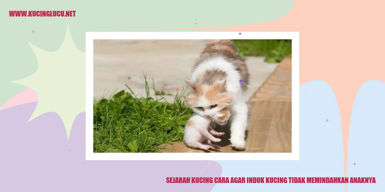 Sejarah Kucing cara agar induk kucing tidak memindahkan anaknya