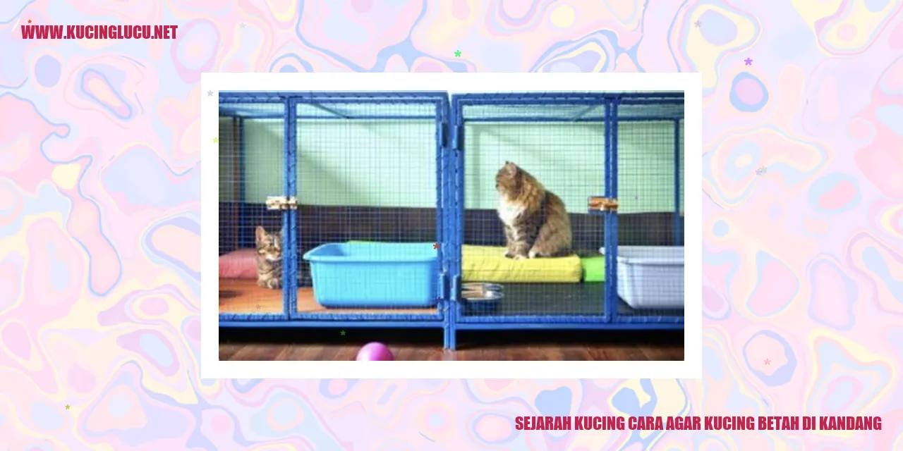 Kucing Nyaman di Kandang