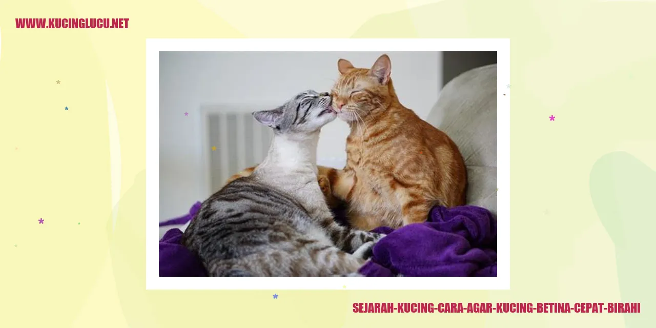 ilustrasi sejarah kucing
