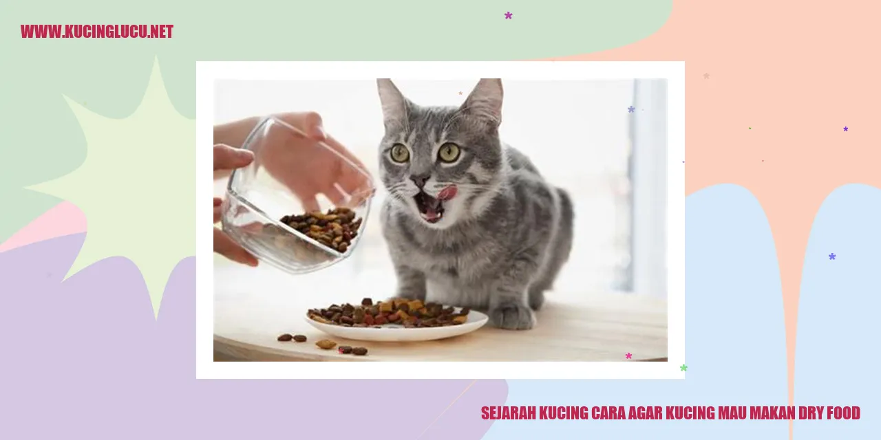 gambar kucing
