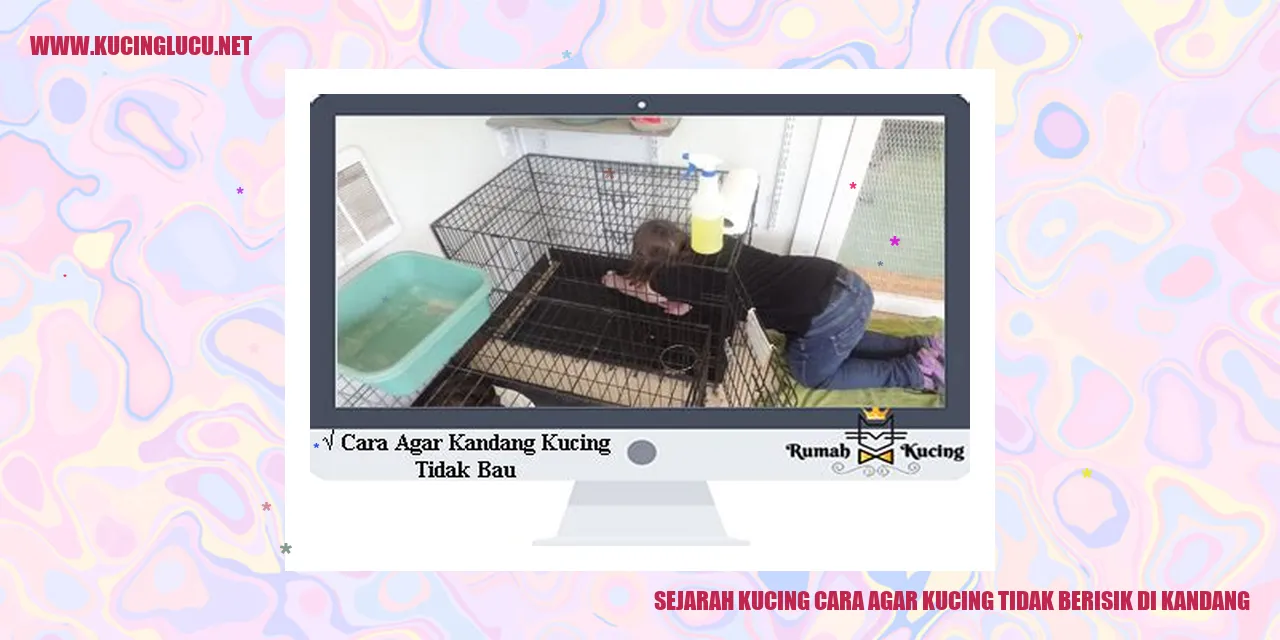 Sejarah Kucing