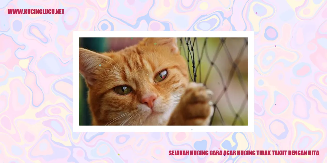 Gambar Kucing