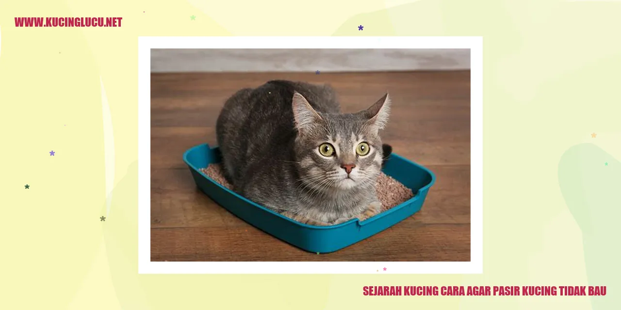 Gambar Kucing yang Menggemaskan
