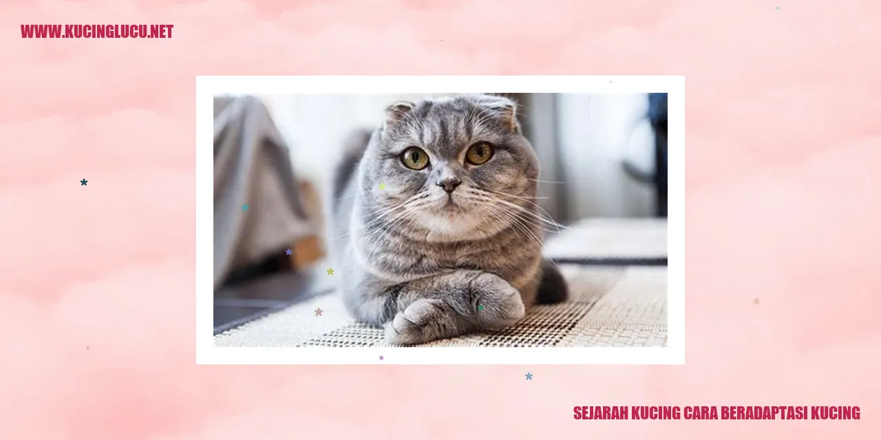gambar kucing yang lucu
