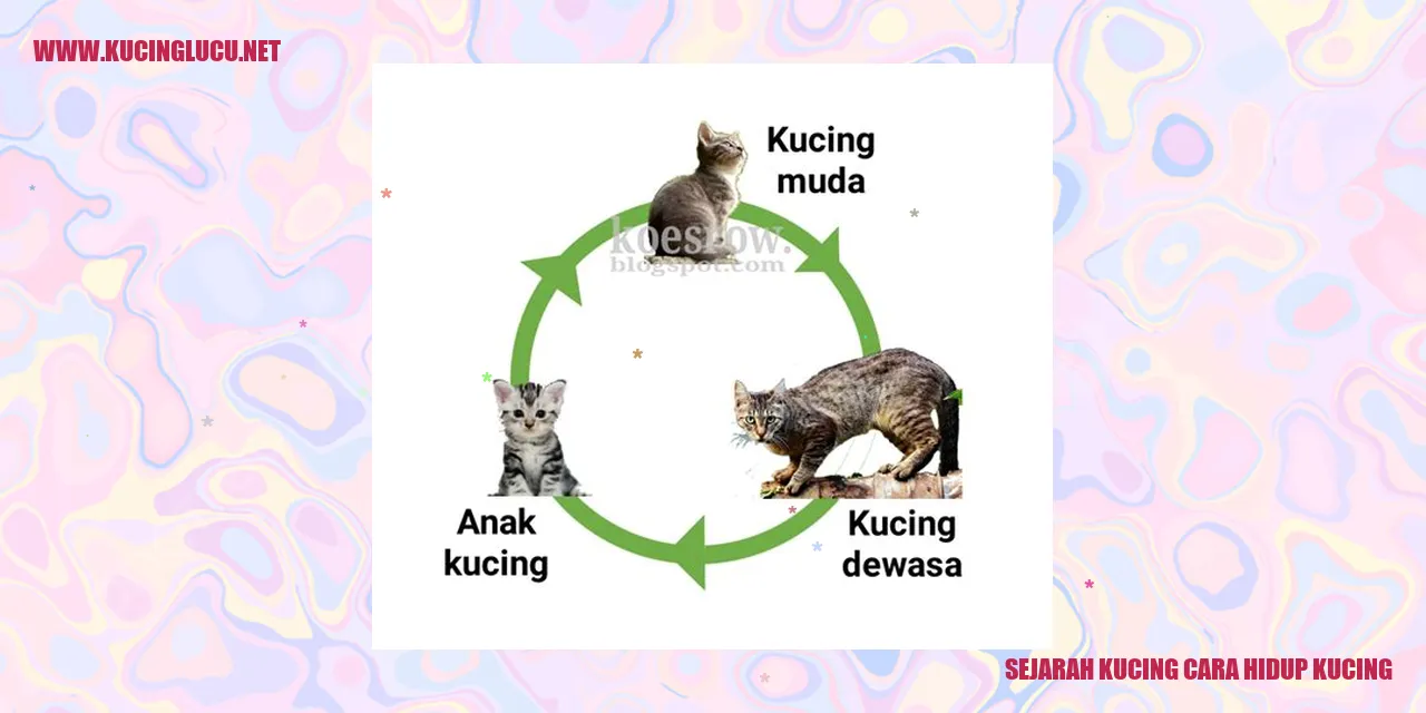 Gambar Sejarah Kucing