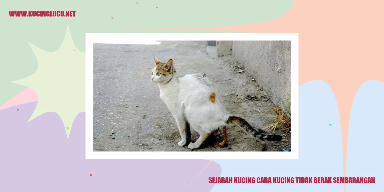 Kucing Tidak Berak Sembarangan