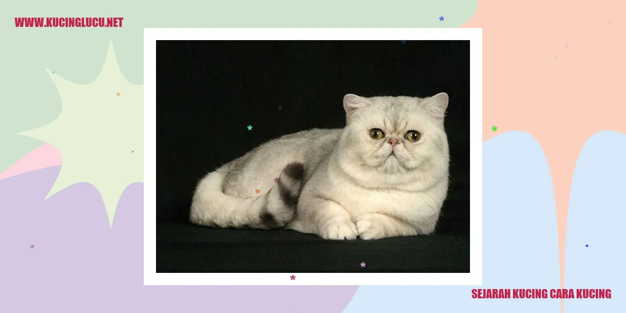 Sejarah Kucing