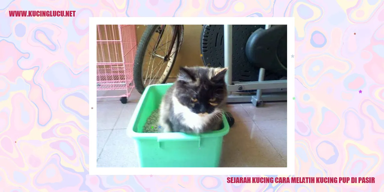 Sejarah Kucing cara melatih kucing pup di pasir