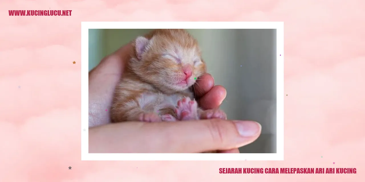 Sejarah Kucing