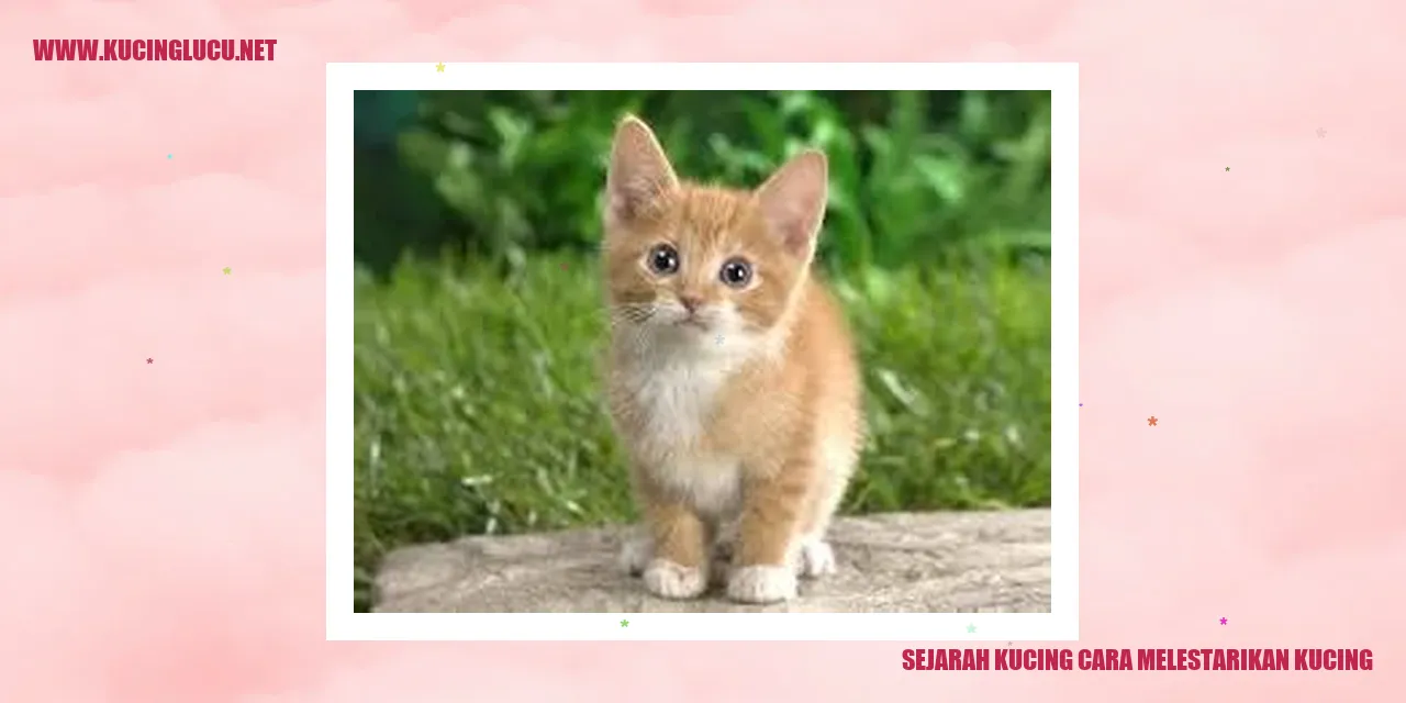 Sejarah Kucing cara melestarikan kucing