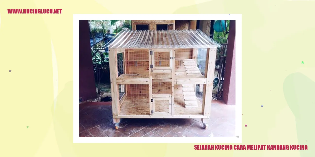 Kucing dan Kandang Kucing