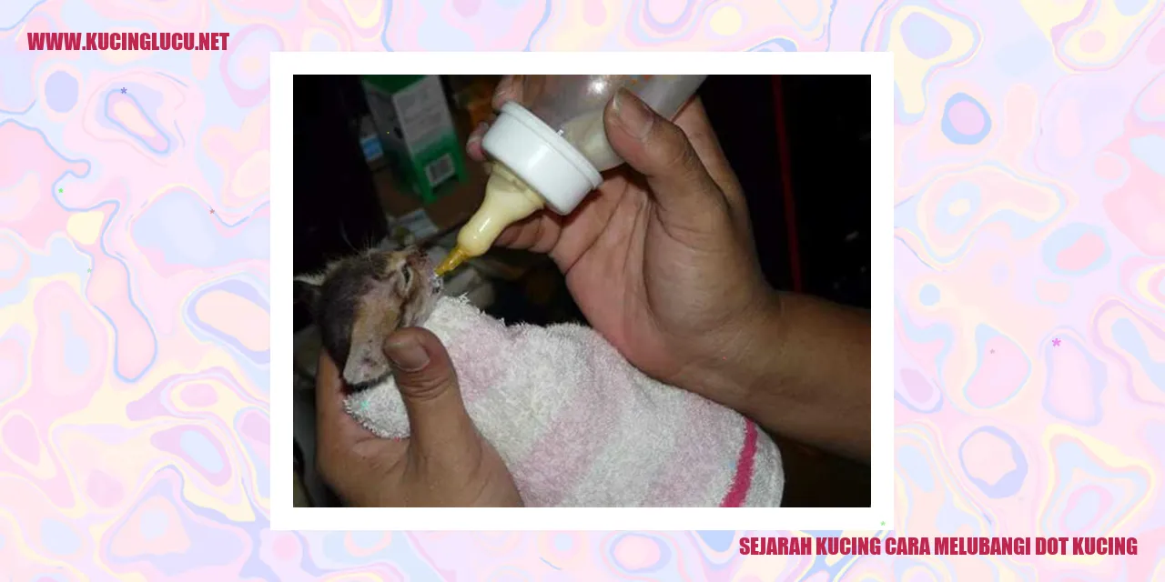 Gambar Kucing Melubangi Dot Kucing