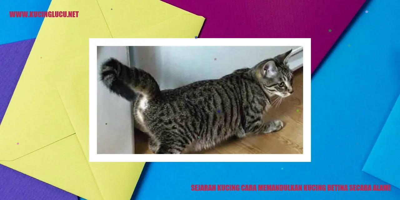 Sejarah Kucing cara memandulkan kucing betina secara alami