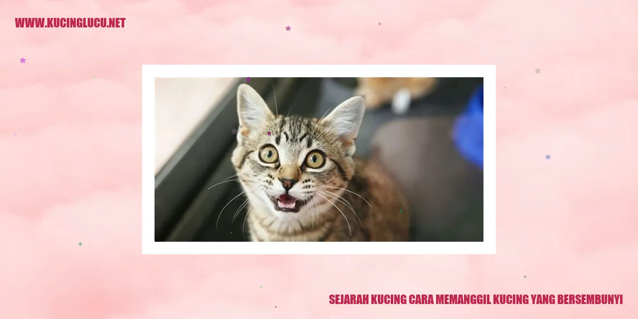 Gambar Kucing