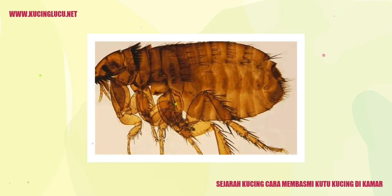 Sejarah Kucing cara membasmi kutu kucing di kamar